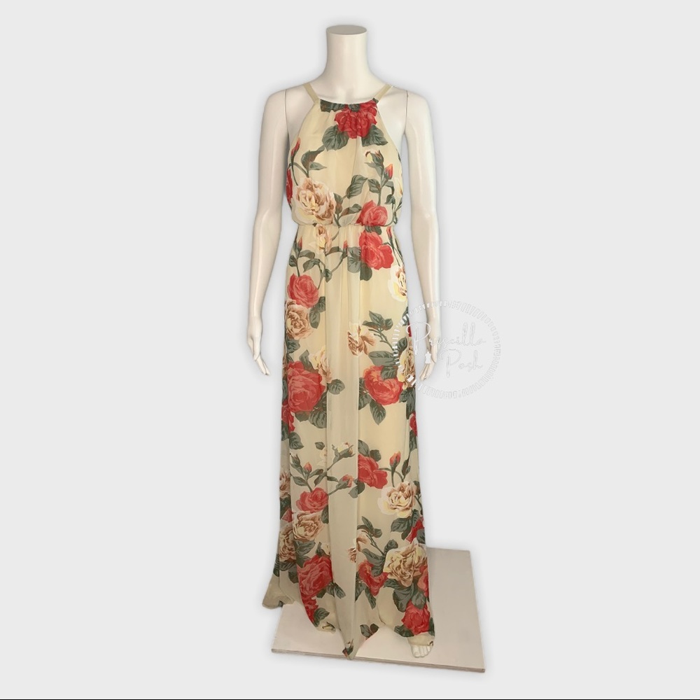 NWT SHOW ME YOUR MUMU Rose Print Amanda Maxi Dress - Picture 3 of 10